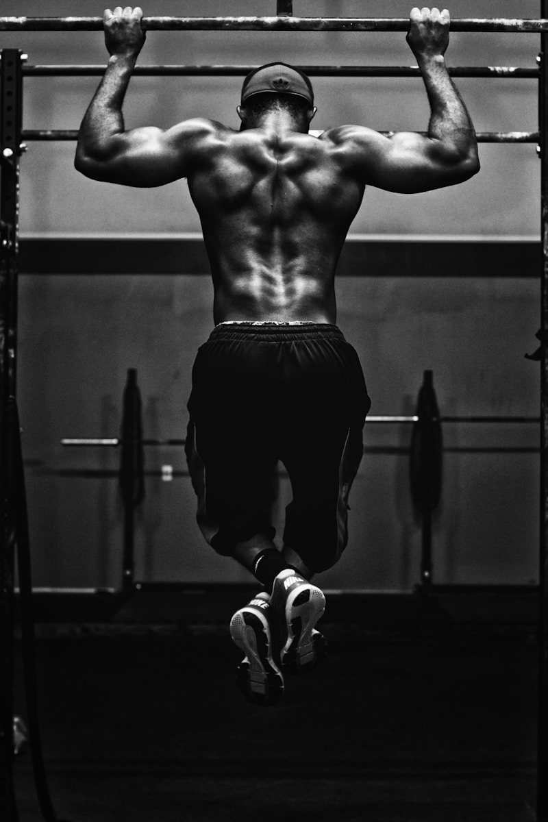 Barbell Rack